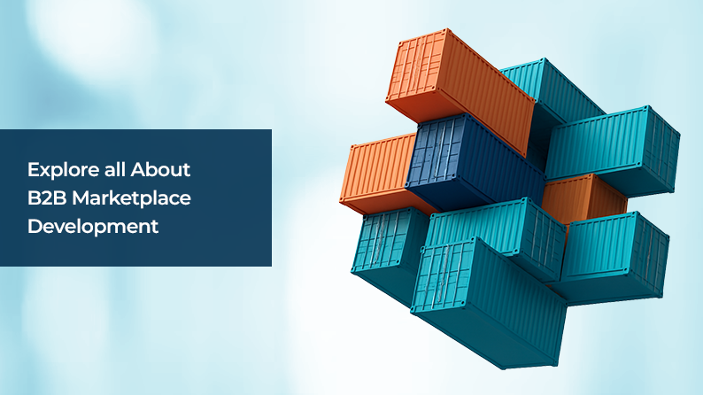 B2B Marketplace Development