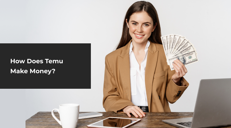 How Does Temu Make Money?